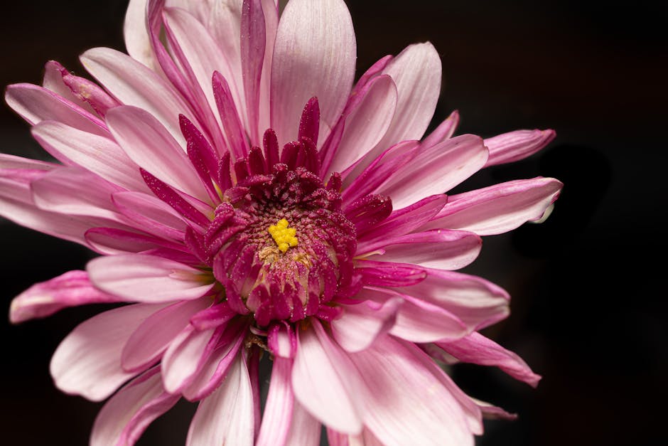 Joshua Mcgrath tweet media