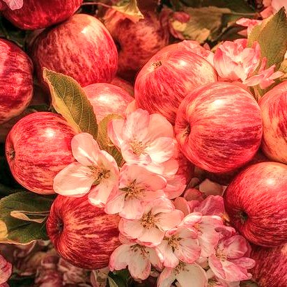 ꇙꋬꋊ꒯꒐́ꋬ ! ✫ tweet media