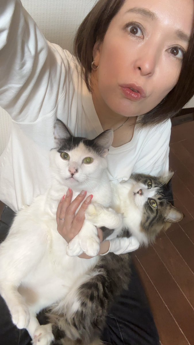 小湊美和 tweet media