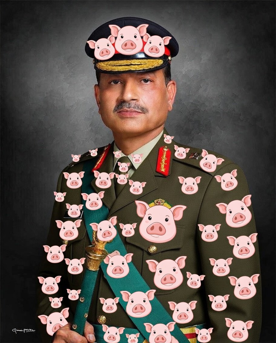 Dr. Sana tweet media