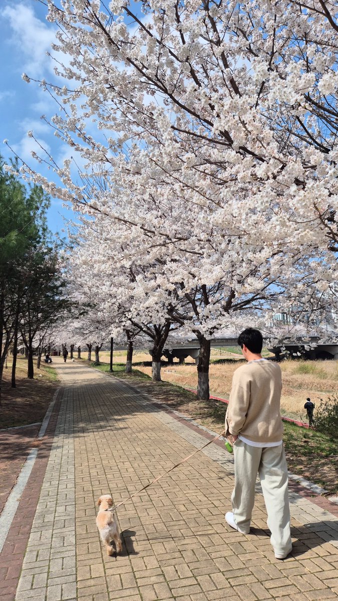 오의식 아카이브 tweet media