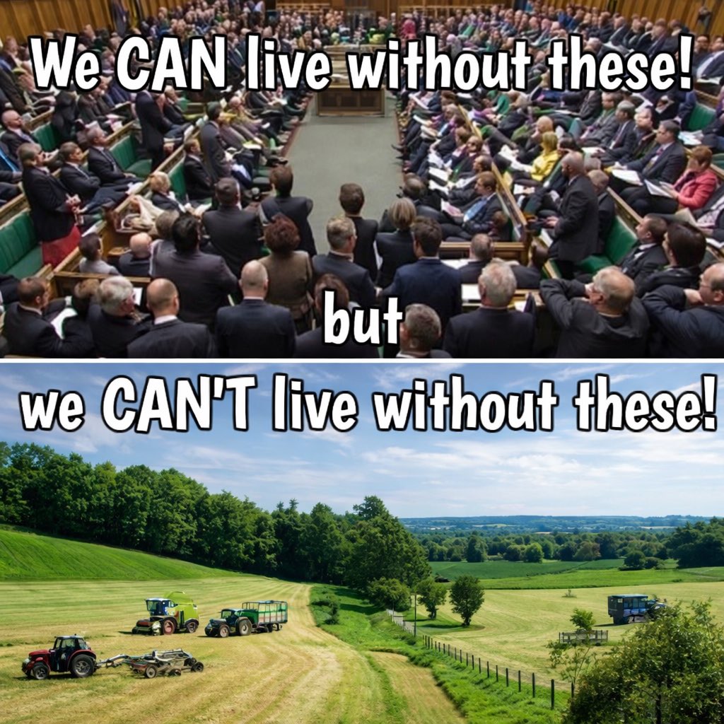 Straight White British Male tweet media