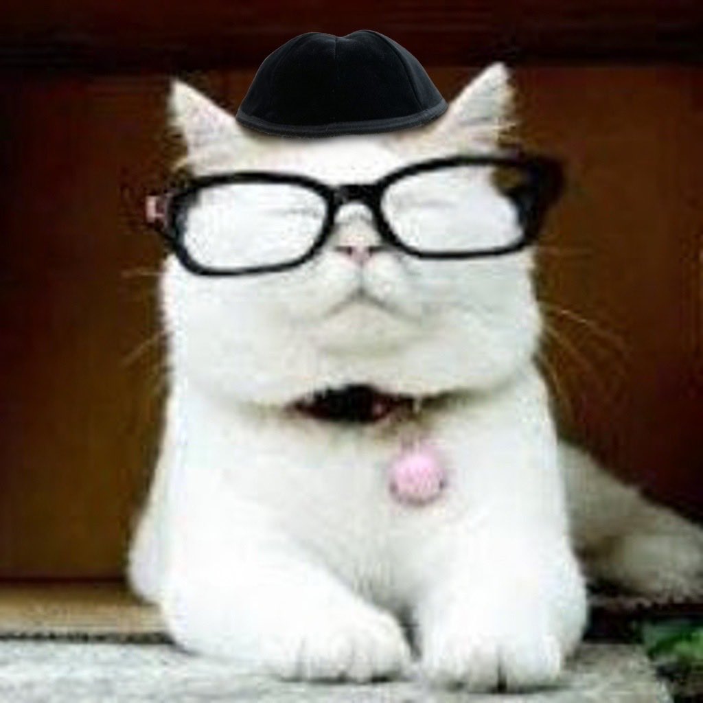 SkiandWheel's tweet photo. @ScratchTheGrey @catturd2 Oooookay. Your opinions have turned into propaganda. I’ll enjoy watching your decline. https://t.co/IunFHwZT17