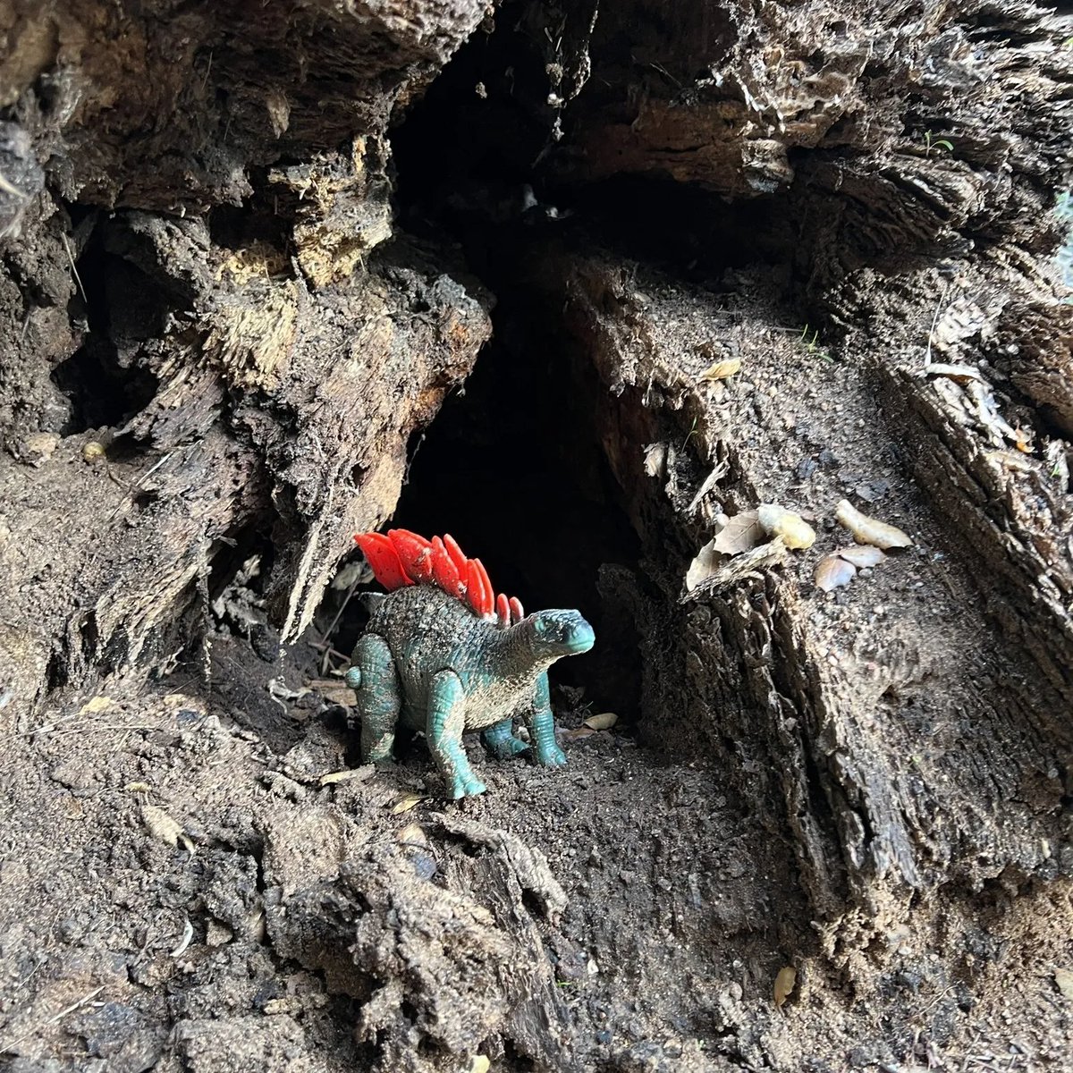 SpeedRacr tweet media