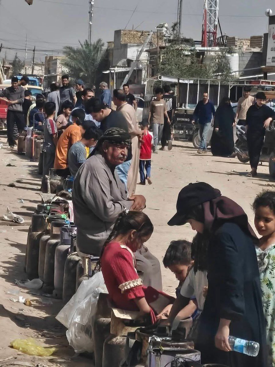 Sophia Haddad tweet media