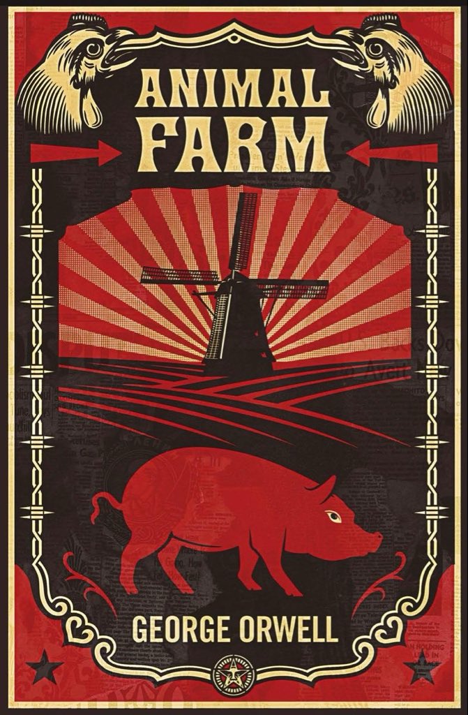 Alpha Manhood tweet media