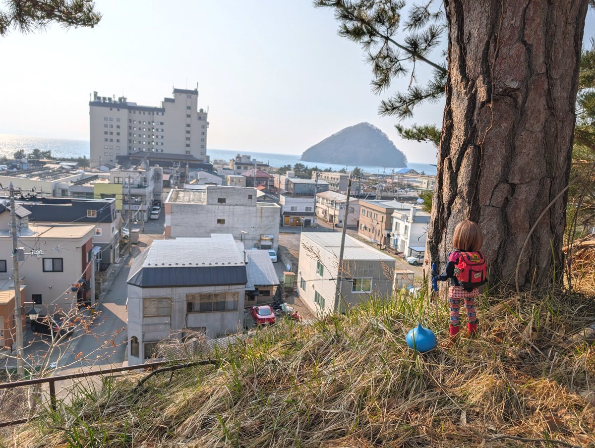 りんごちゃん🍎 tweet media