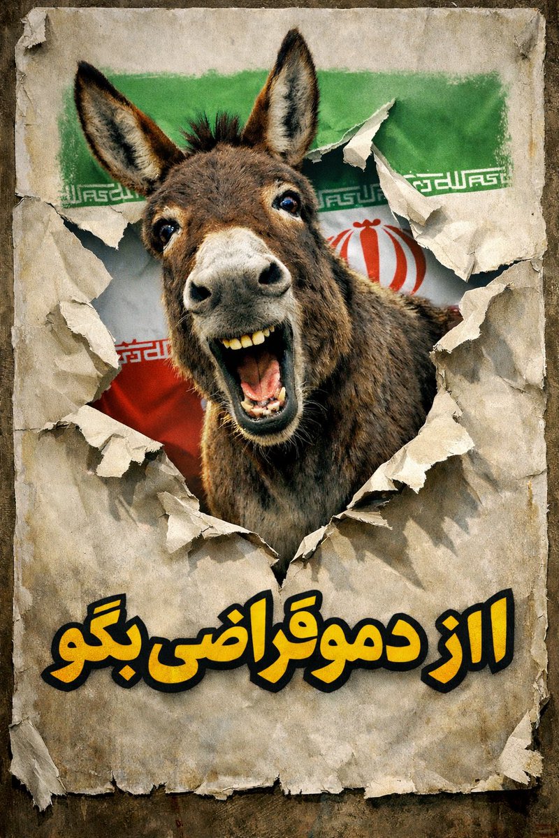 آرش وفا tweet media