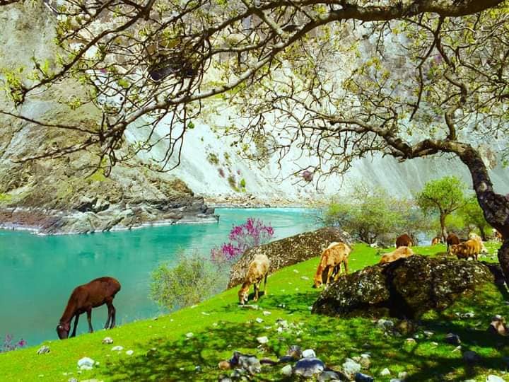 Azad555550's tweet photo. #bdakhshan
#afghanistan https://t.co/tUwT6ykpQj