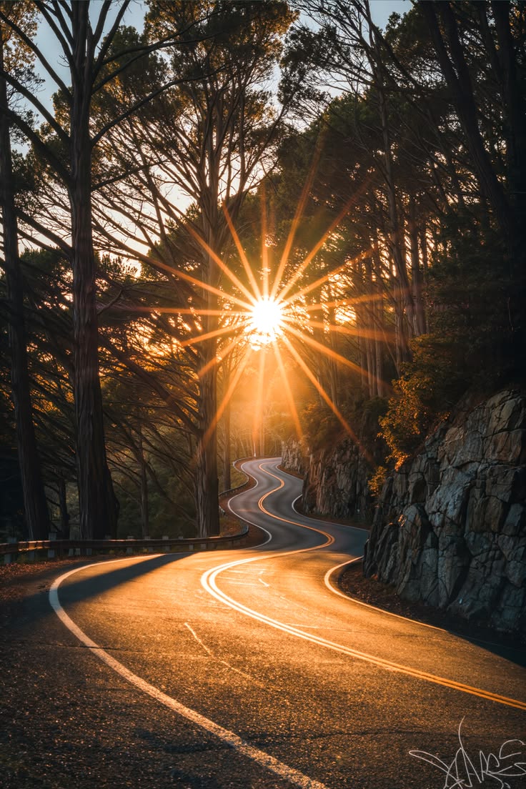 Nature Beauty tweet media