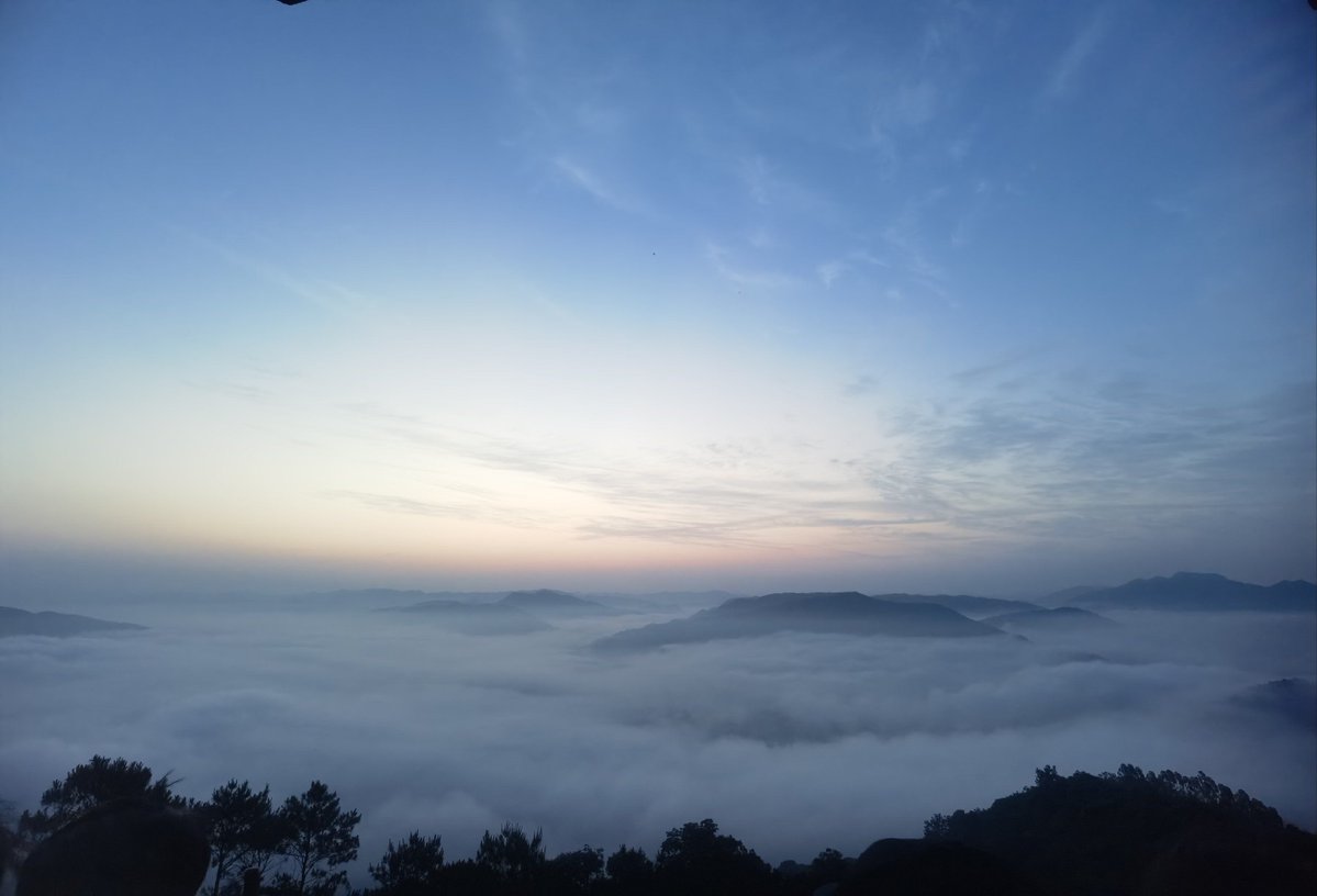 Giulia Gentili tweet media