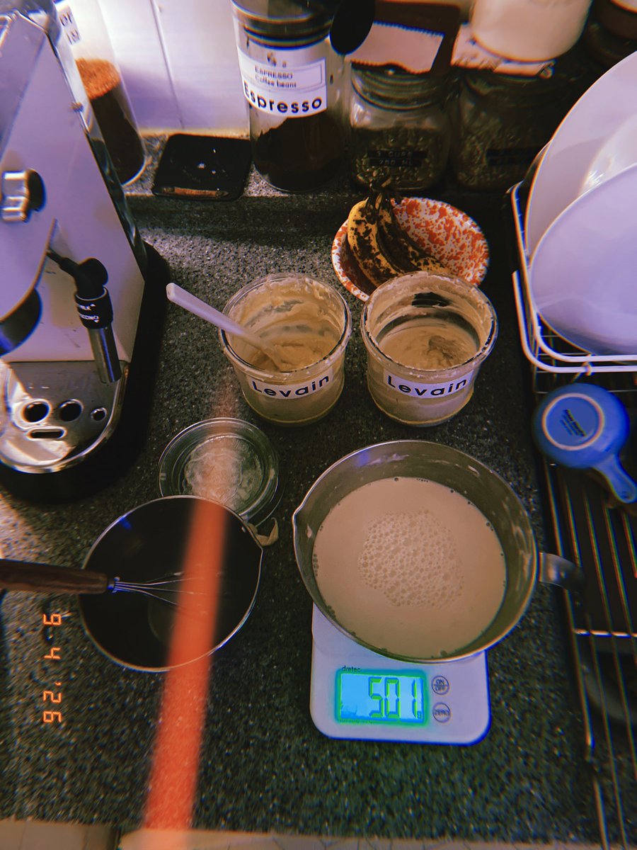 DrewVanilla_'s tweet image. 어둠 속, 르방이 밥 주고 내일 구울 사워도우 #발효시작  #inthedark