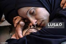 "Solidarity is a verb" tweet media