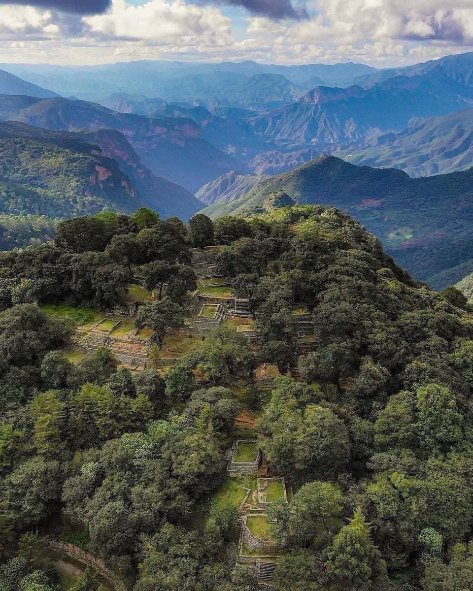 Omar Castrejón 🎗️ tweet media