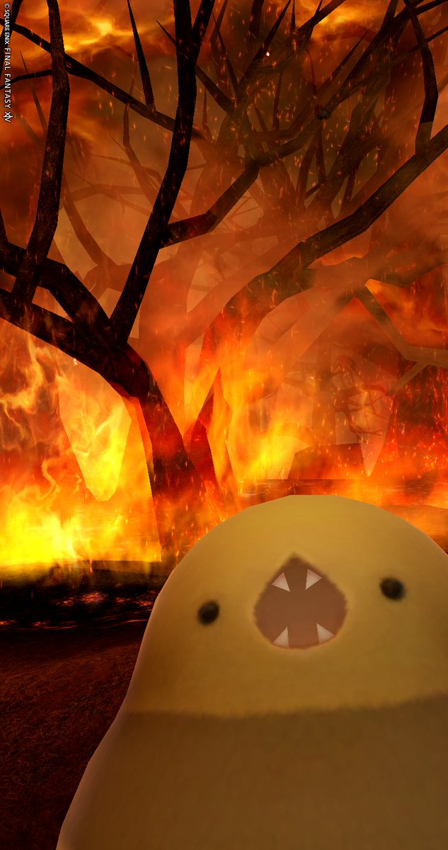 カラト兄 tweet media