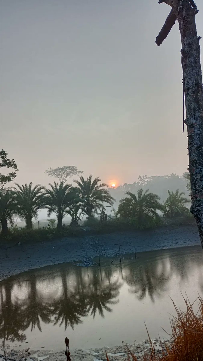 خذ ياسحاب الشوق من خافقي شوق 
وارحل يا عل مسعاك درب السلامه

صوب الذي له شان والمستوى فوق 
ودي سلامي وهات منه سلامه