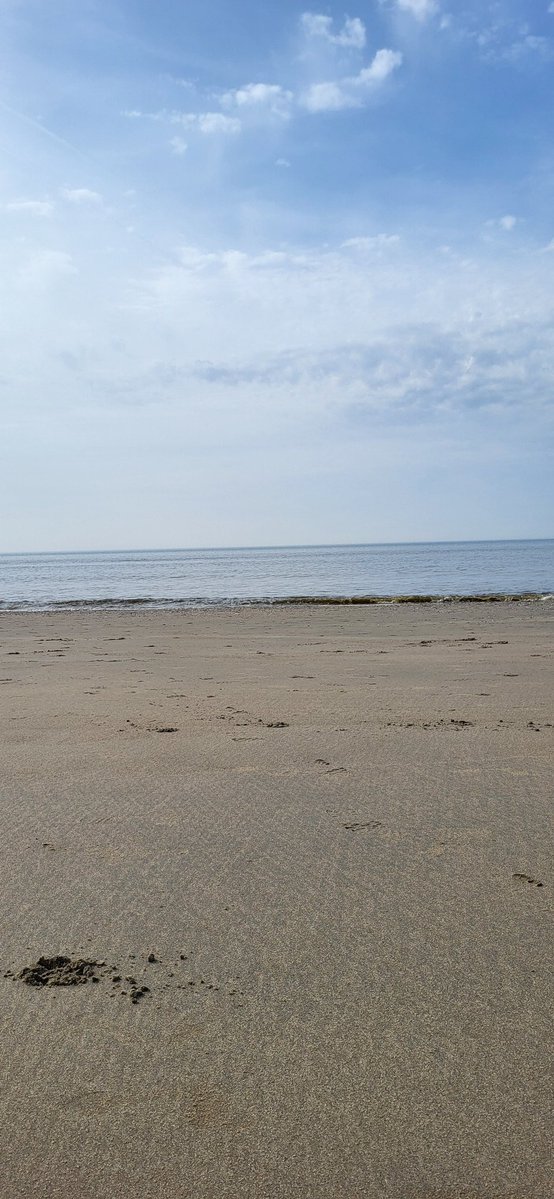 Floor Janssen tweet media