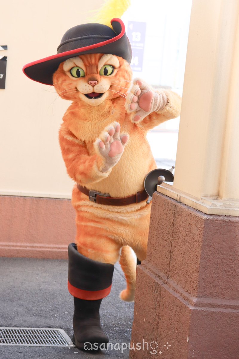 sanapush's tweet photo. 可愛いひょっこりネコちゃん

#USJファン https://t.co/tNp9qWGBQn
