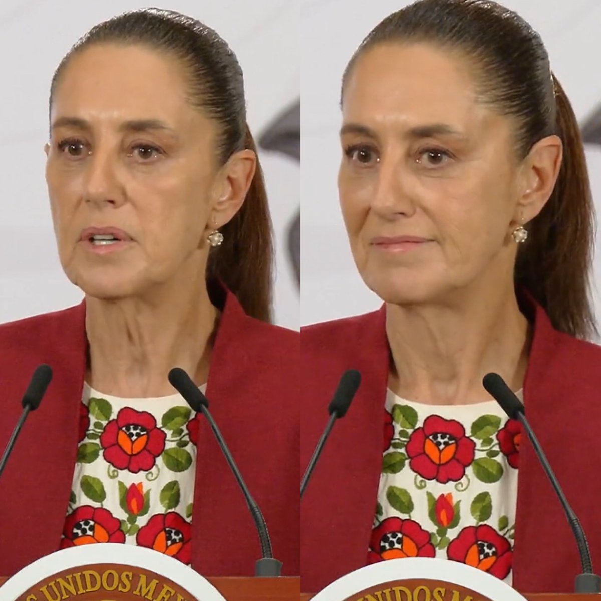 Cerebros tweet media