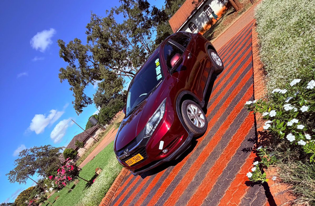 BossG_🇿🇼 tweet media