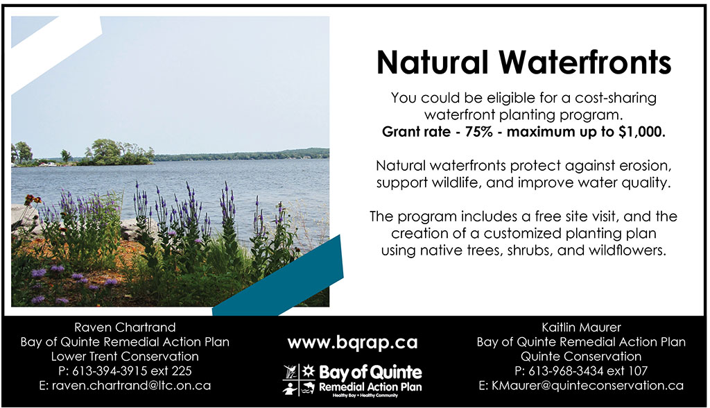 Bay of Quinte RAP tweet media