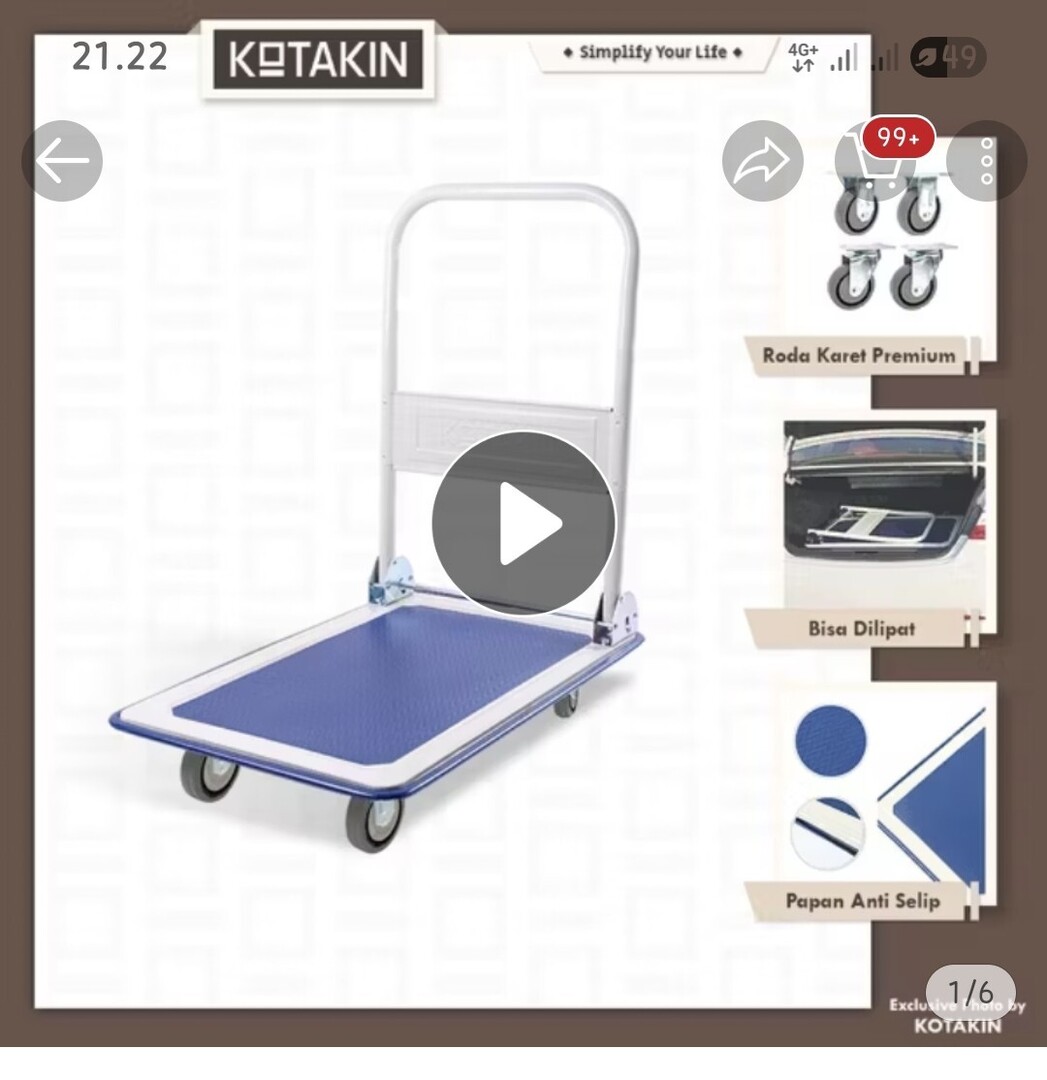 🦈 SUROBOYOFESS 🐊 tweet media