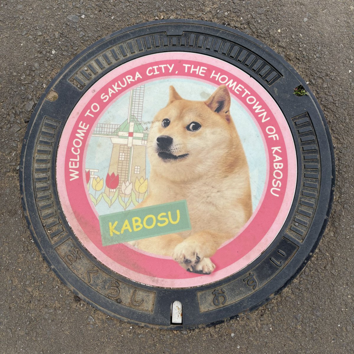hosoto_'s tweet photo. ドージ爆上げ祈願in佐倉ふるさと広場
頼むで🐕🚀

#Dogecoin https://t.co/r5PDbCuEIY