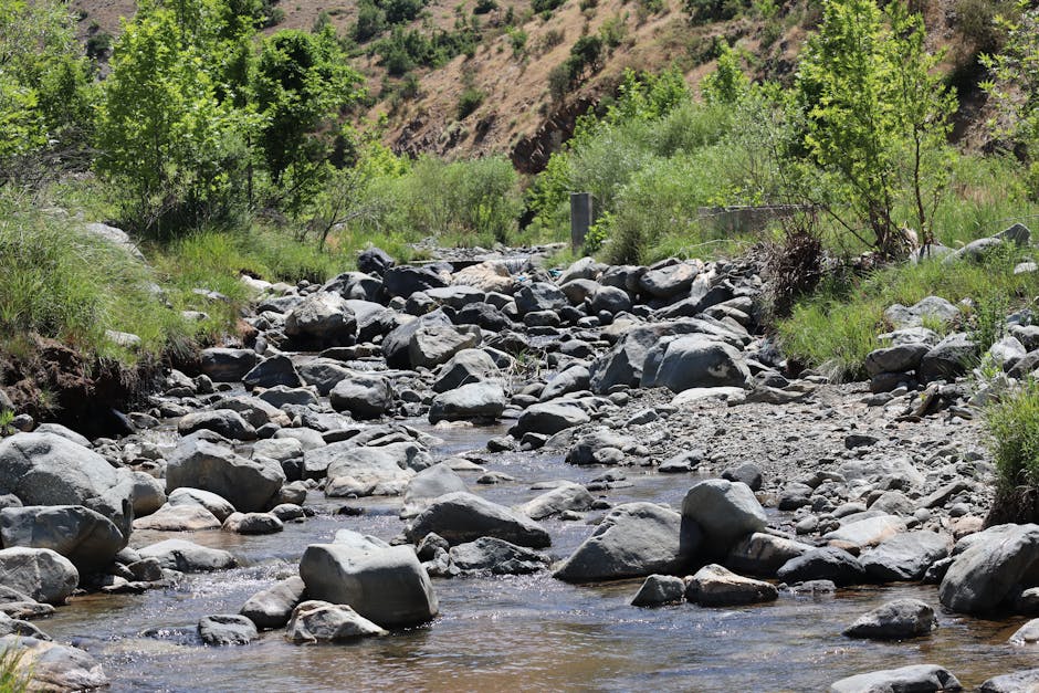 David Adams tweet media