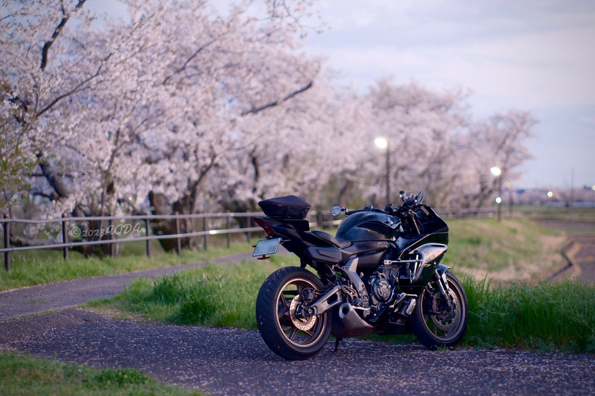 あおだ tweet media