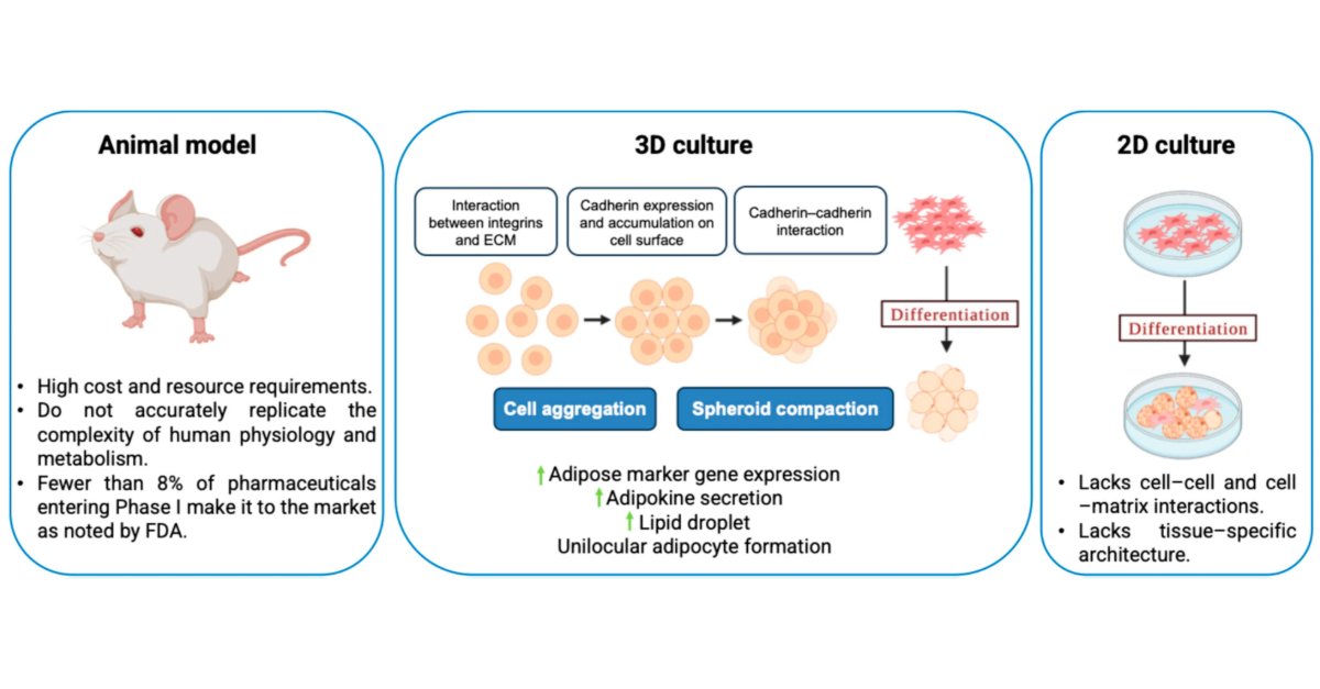 Bioeng_MDPI's tweet photo. 💥Excited for the publication: "Influence of Structure–Property Relationships of Polymeric Biomaterials for Engineering Multicellular Spheroids"
🔗 https://t.co/y7FjSvJFag
📌 #3DCellCulture #MSpheroids #Biomaterials #TissueEngineering #CancerResearch #Hydrogels #InVitroModels https://t.co/pP18wMewFa