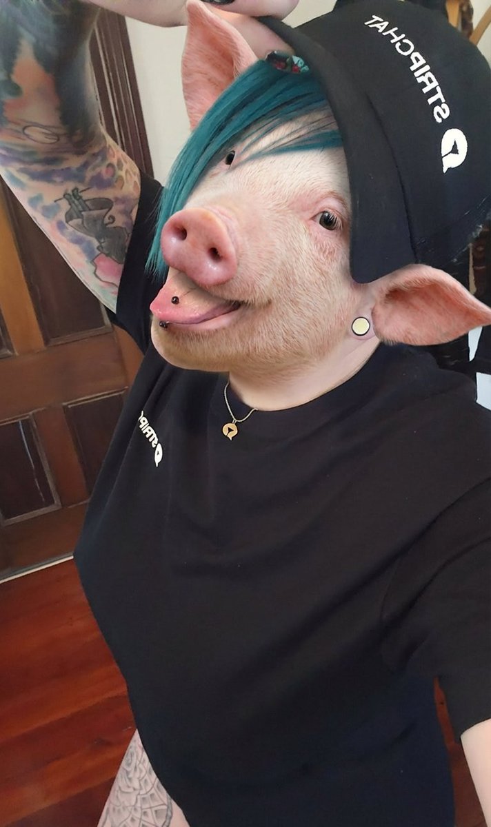 Iceycoldy316's tweet photo. Thank for great stream today oink you little pork lovers oink @PinkTheHawk1 I be bqck tomorow for more oinking and remember oink on my oink fans  away https://t.co/cw8ShZQTH0