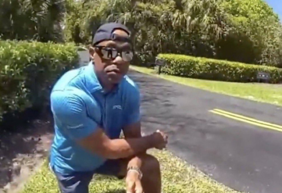 Tiger Woods Memes tweet media