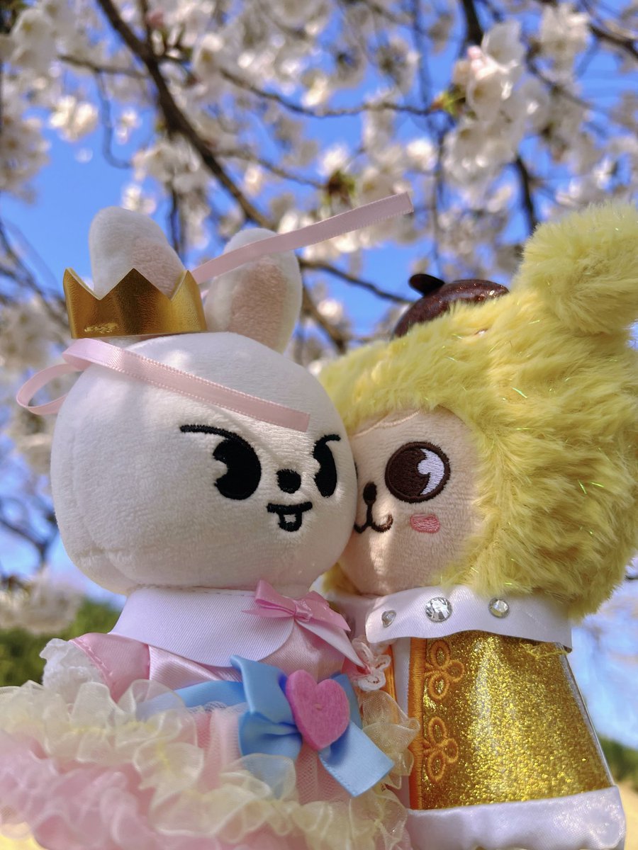 muscookie's tweet photo. 🐶🐰Romantic story in Seoul🌸
#2min
#skzoo https://t.co/9AH1NsCfj3