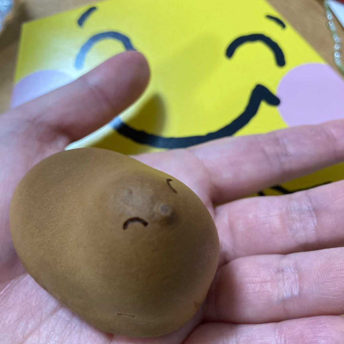 はるかぜひよこ🐣ぶたいのあそび人 tweet media