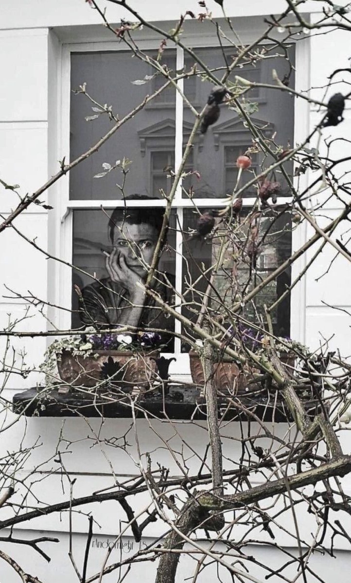 荷必如此 tweet media