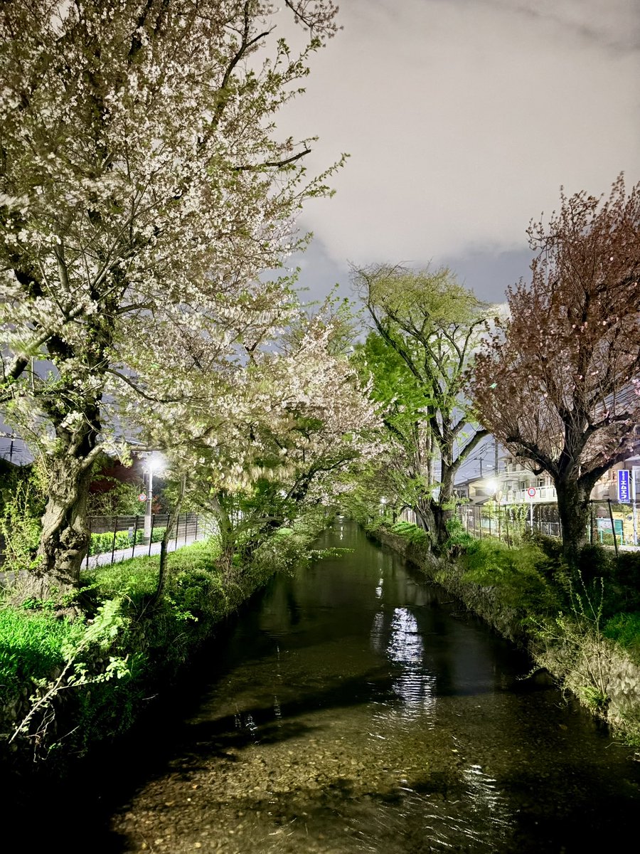 桃生純太(ももなり) tweet media