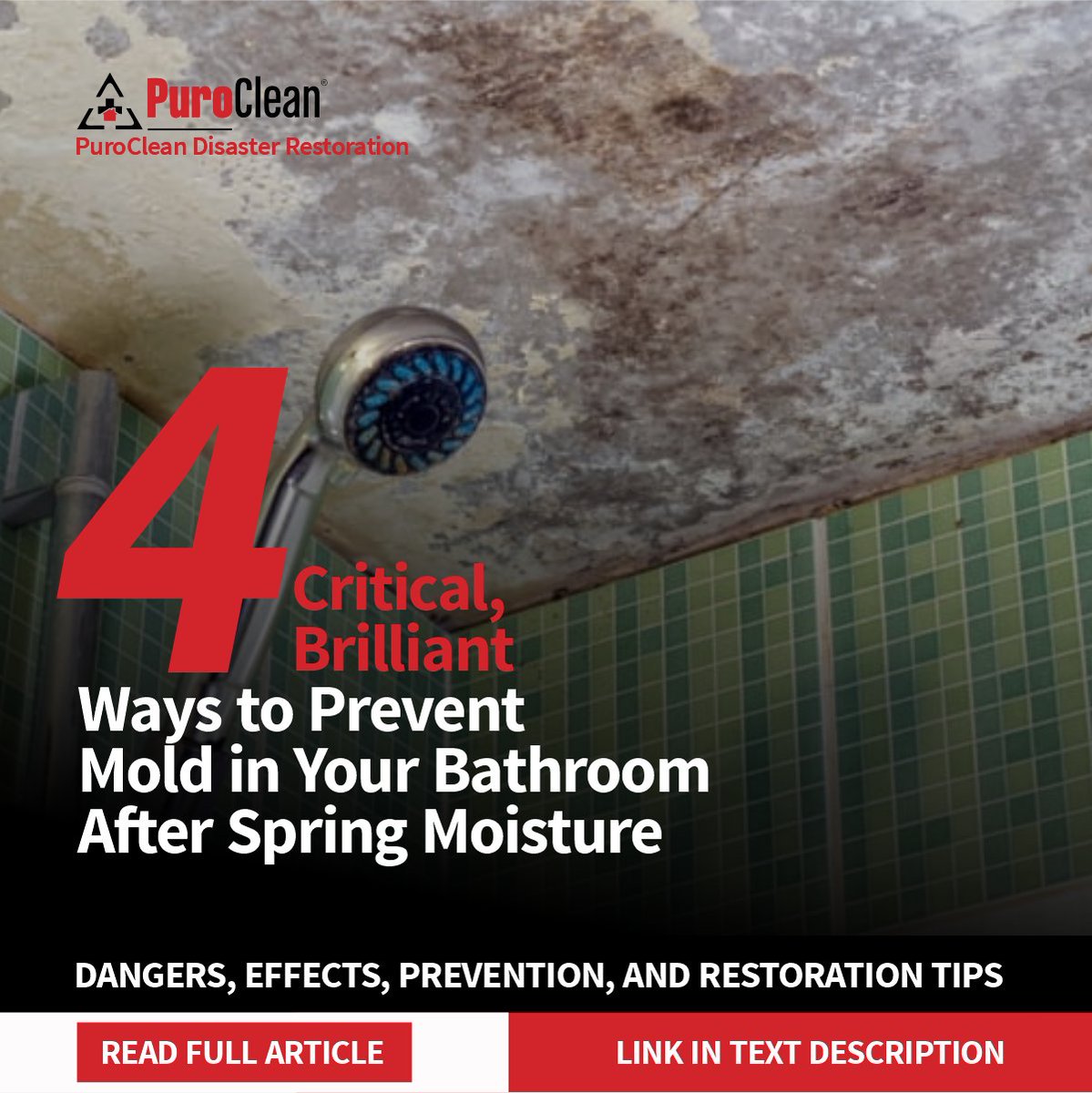 Purocleanfwayne's tweet photo. Bathroom mold after spring humidity? It's not just ugly, it's a health hazard.

Stop scrubbing endlessly. The real solution is professional intervention. Call PuroClean today and protect your family's health.

#MoldRemoval #SpringHumidity #HomeSafety #BathroomMold #HealthyLiving https://t.co/uUx5xpeXV8