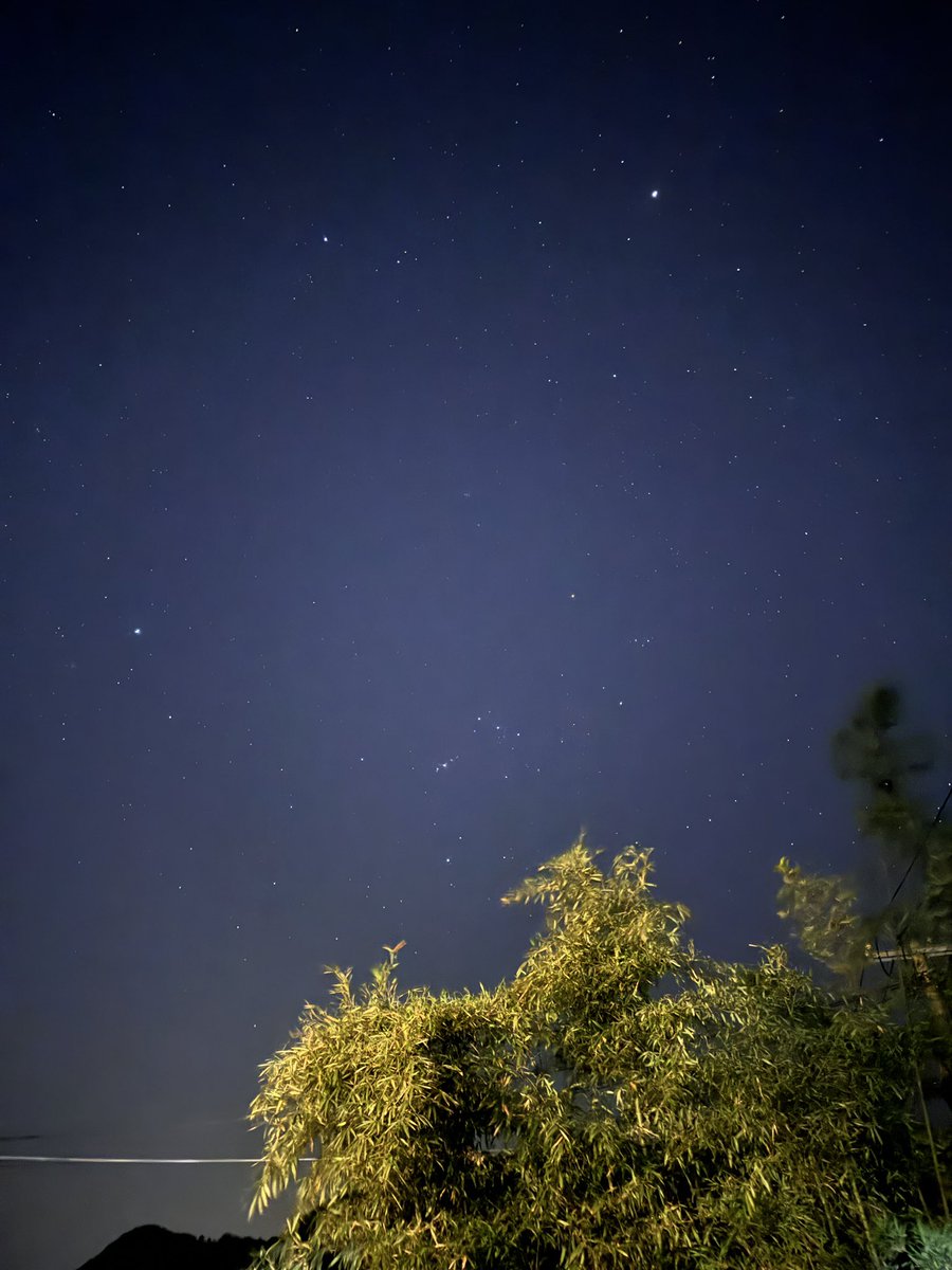 生青， tweet media