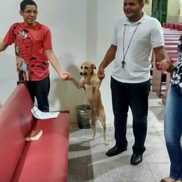 laura 🪭 tweet media