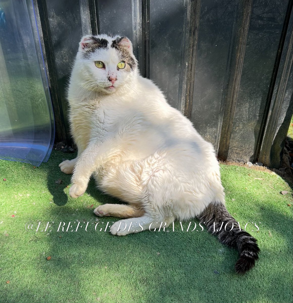 Le Refuge des Grands Ajoncs tweet media