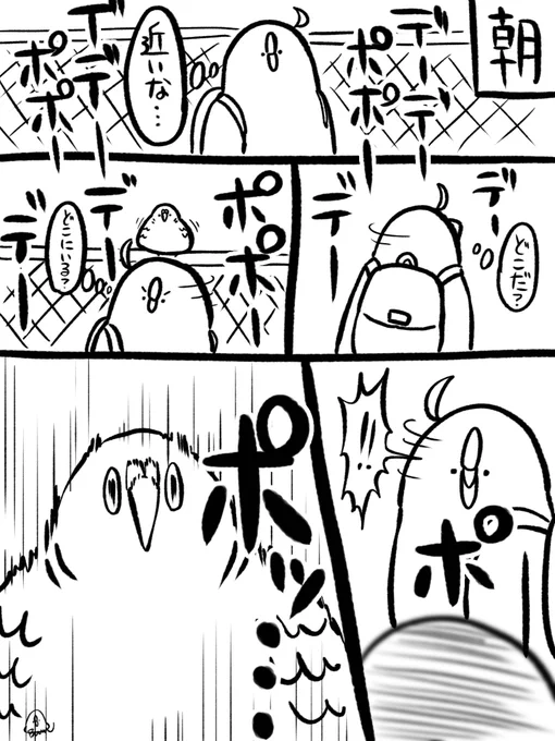 今朝。
目が合った 