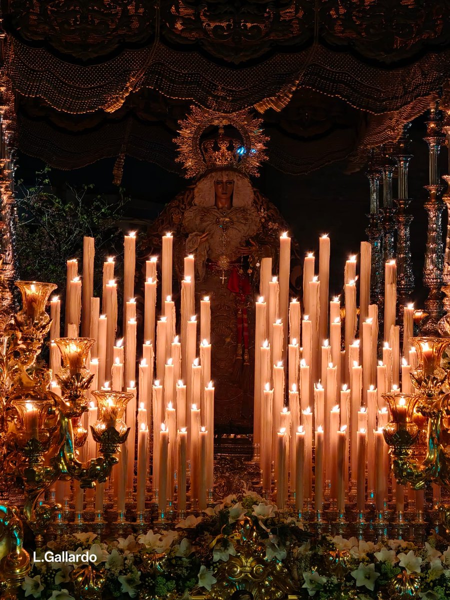 Jose Alcántara⚓ tweet media