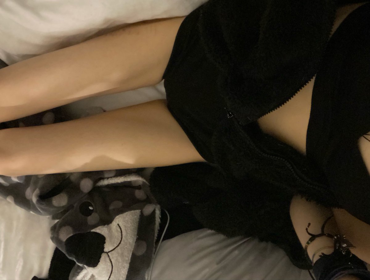 elara🐾 tweet media