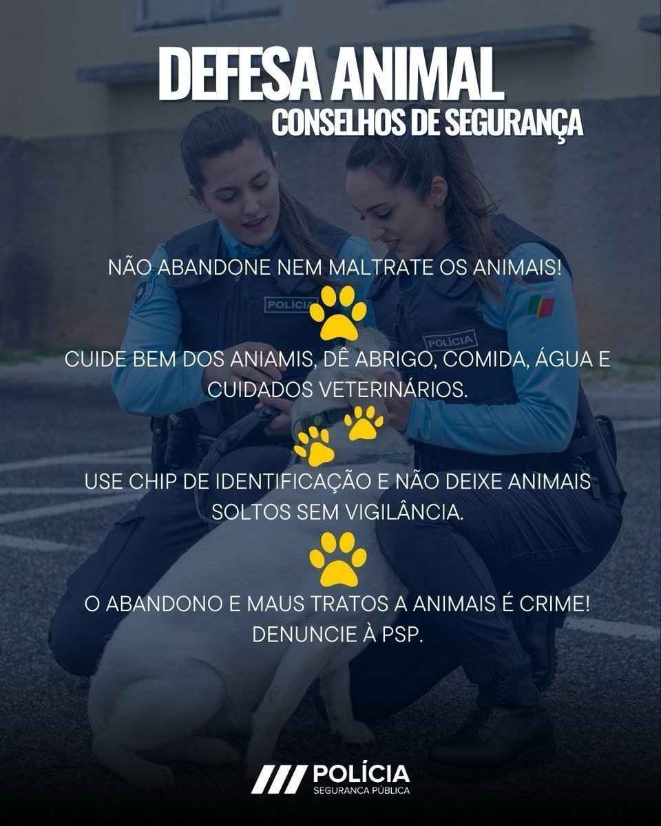 🐾Maus tratos é crime. Cuidar é um dever de todos. #SemprePresente