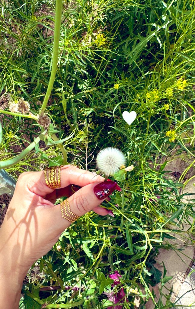 Asma 🍁 tweet media