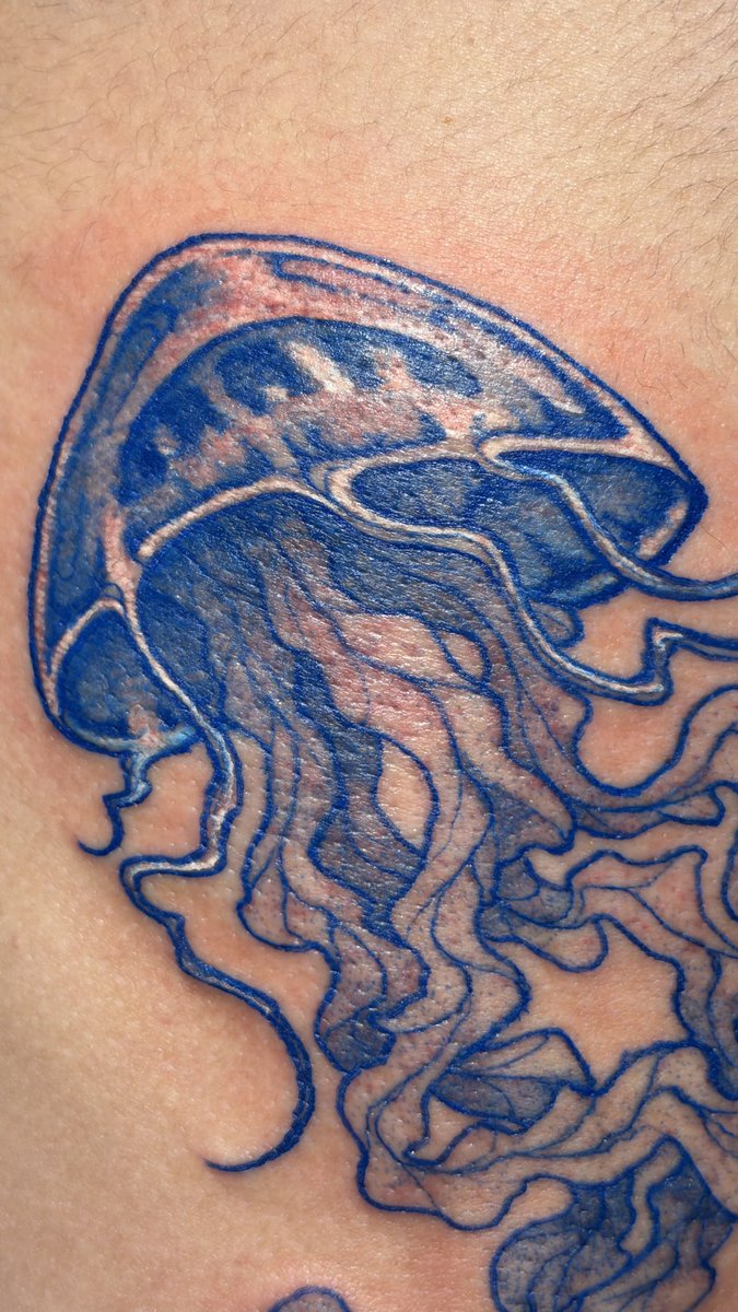 aalleeqqss tweet media