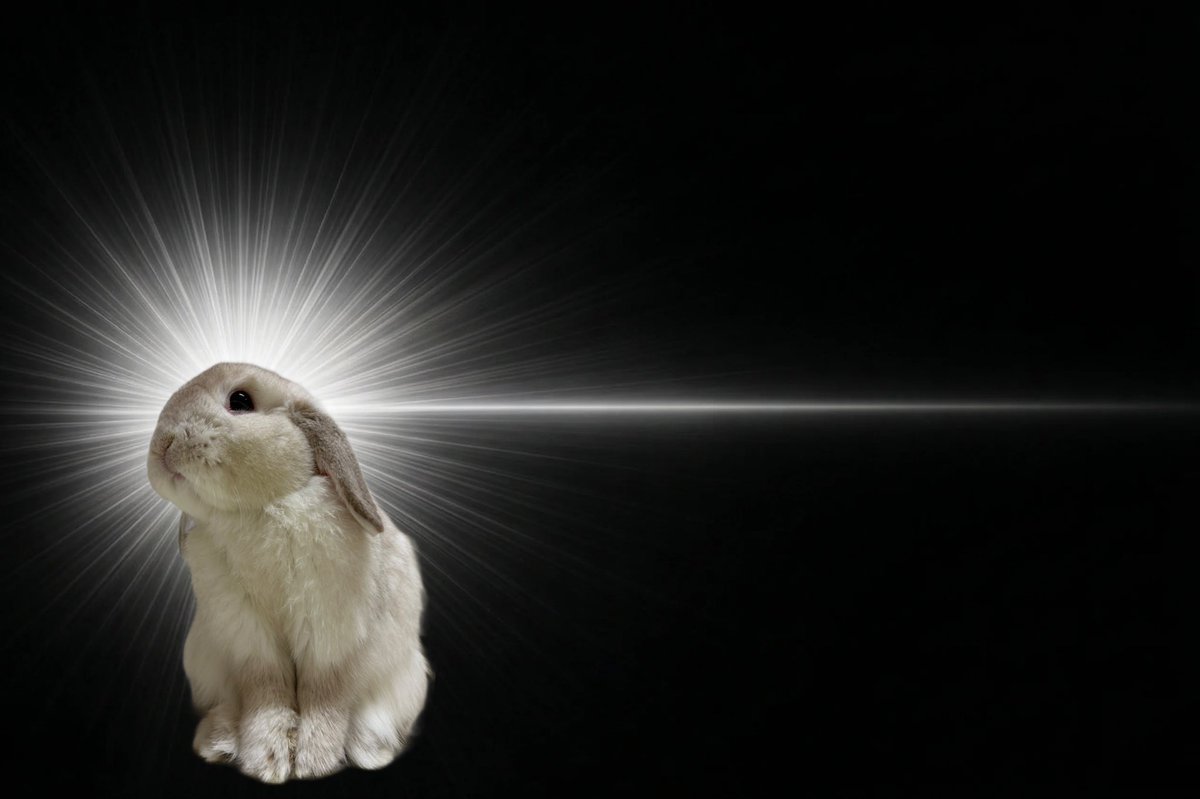 まふぃん君૮ ˙ ˟ ˙ ა tweet media