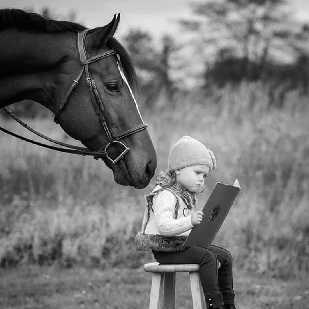 Marie (@m77481070) on Twitter photo 