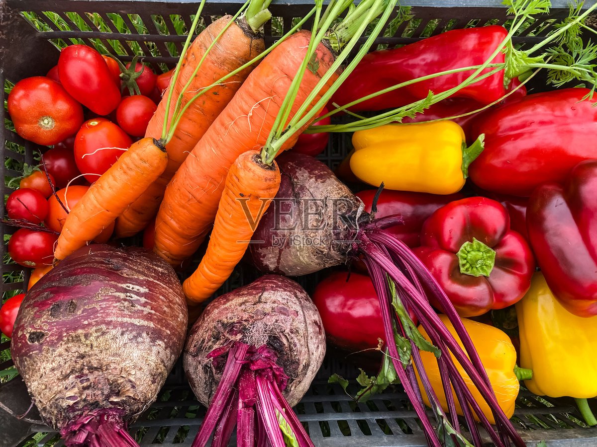 tatum atkinson tweet media