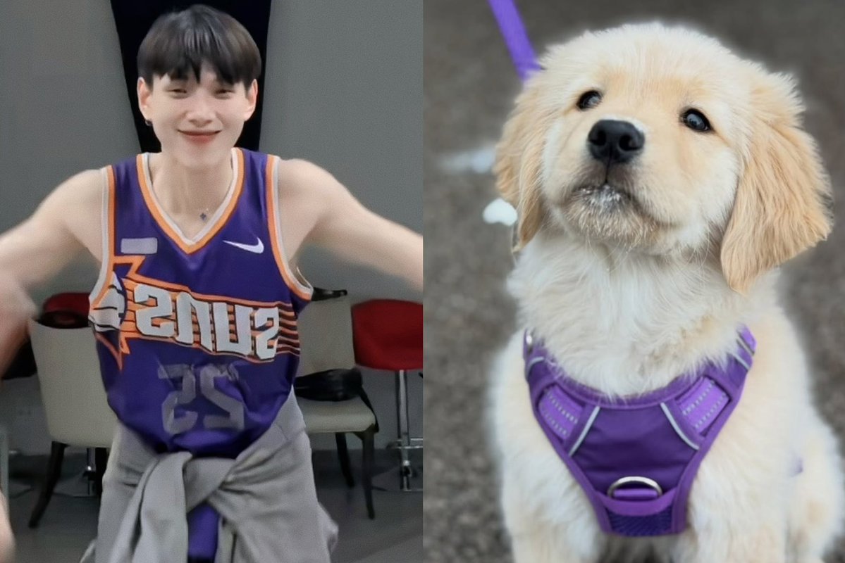 ᑤ h /•᷅•᷄\ᘏ tweet media